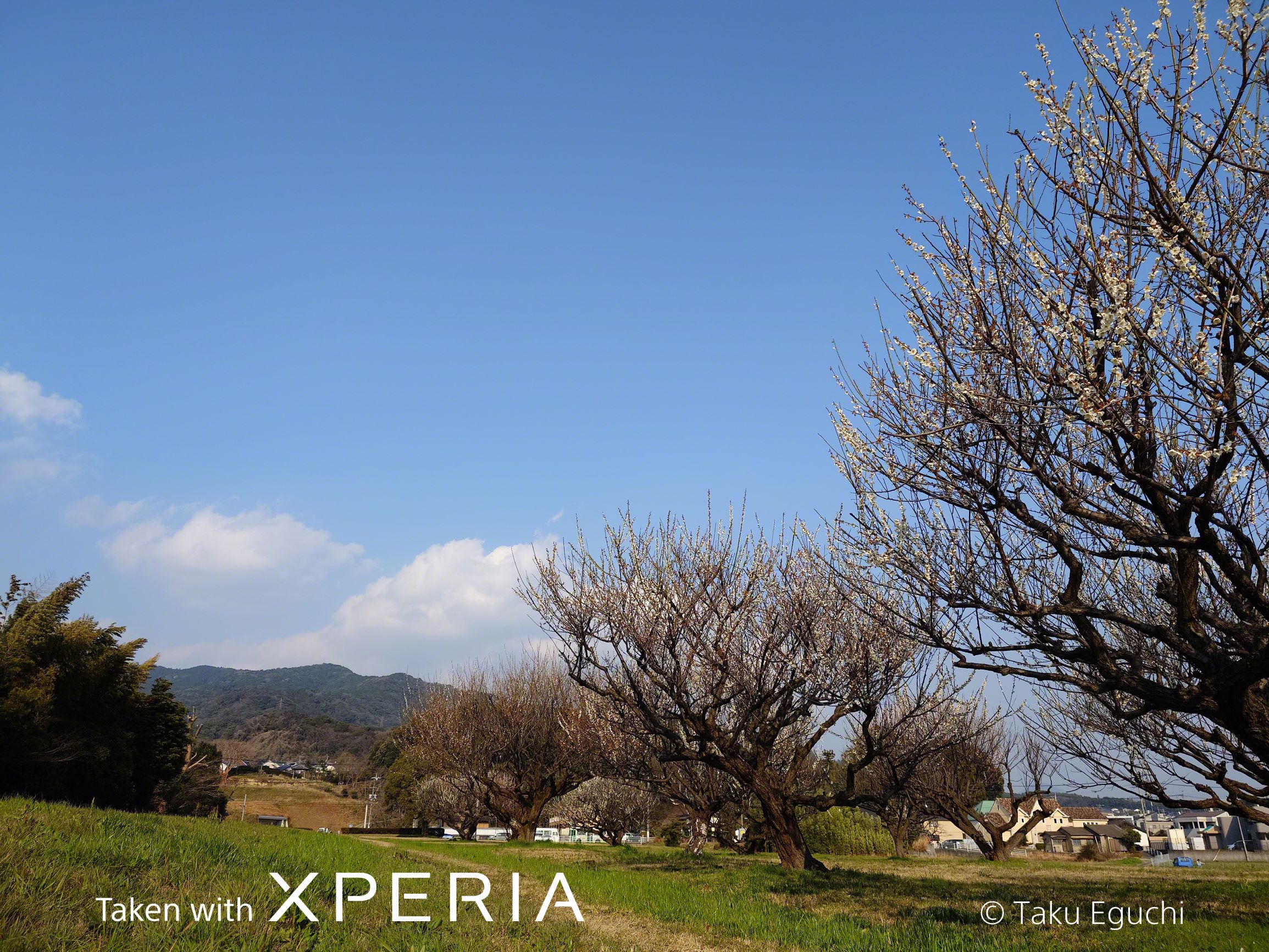 CreativeLook Vivid 24mm